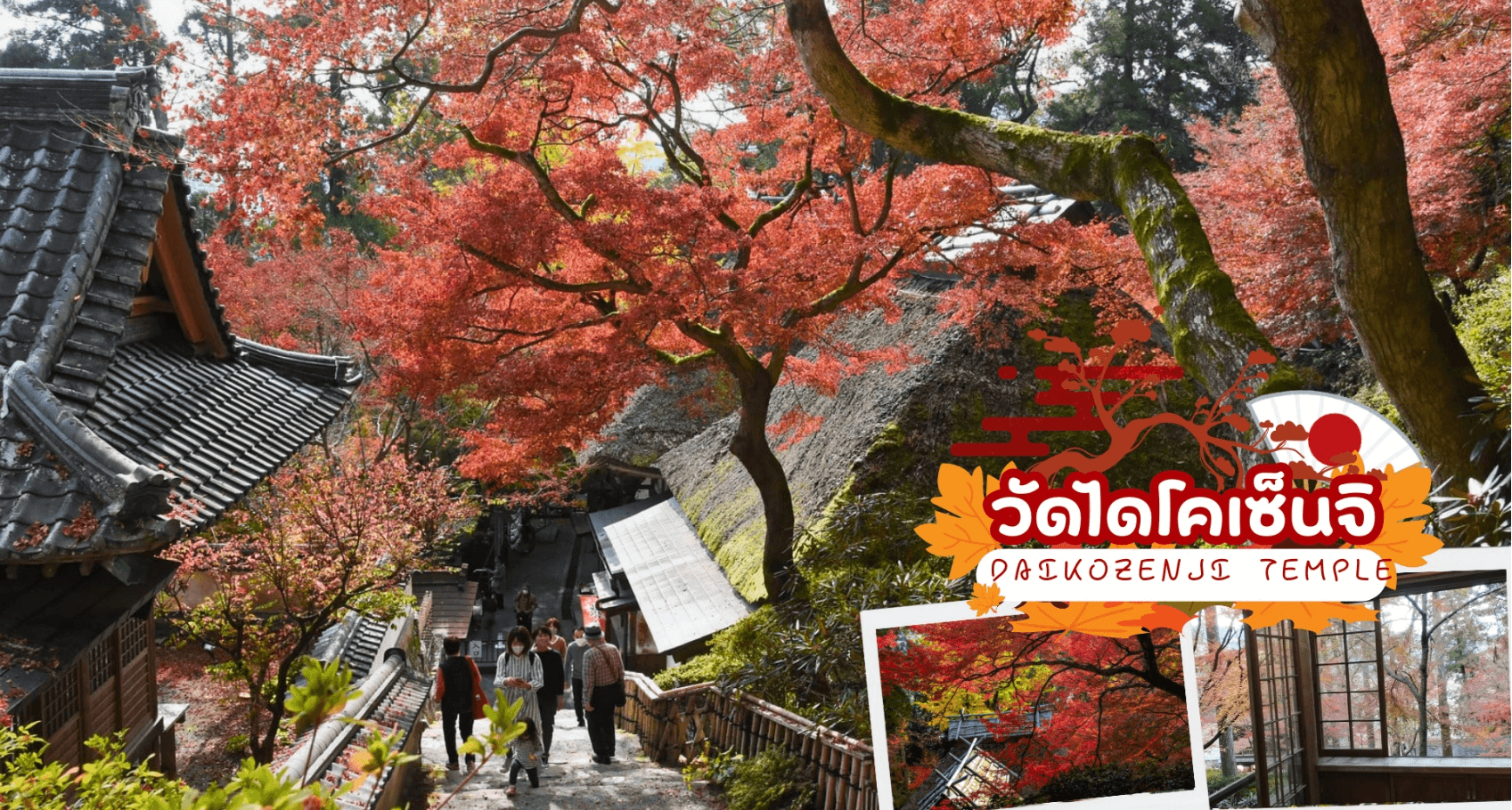 KYUSHU SAGA KUMAMOTO TAKACHIHO AUTUMN 6D 4N 1