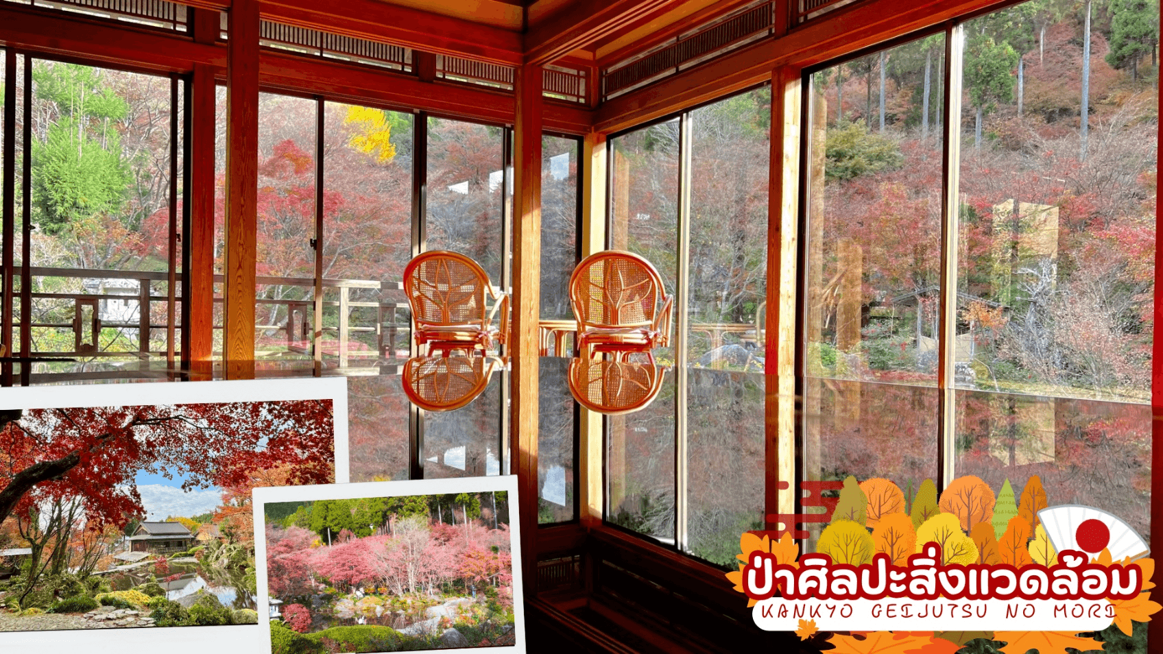 KYUSHU SAGA KUMAMOTO TAKACHIHO AUTUMN 6D 4N 2