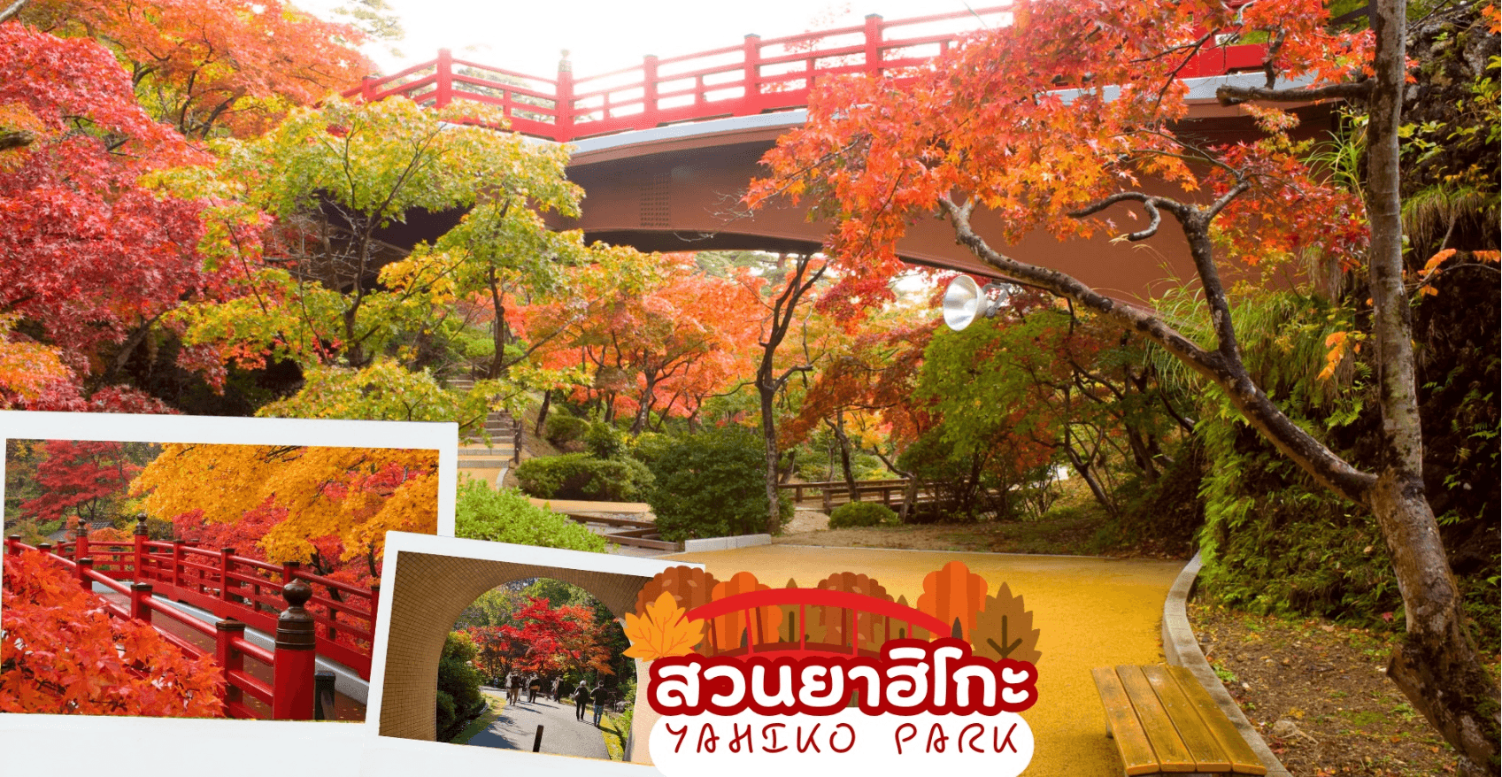 UNSEEN NIIGATA FUKUSHIMA TOKYO AUTUMN 6D 4N 3