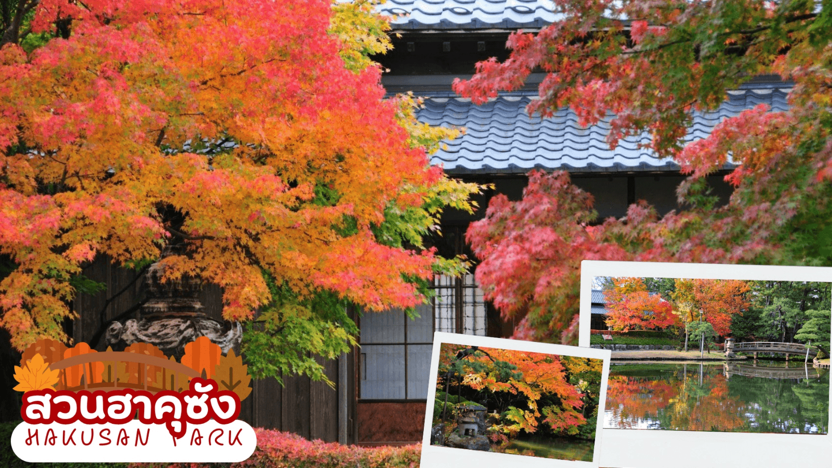 UNSEEN NIIGATA FUKUSHIMA TOKYO AUTUMN 6D 4N 4