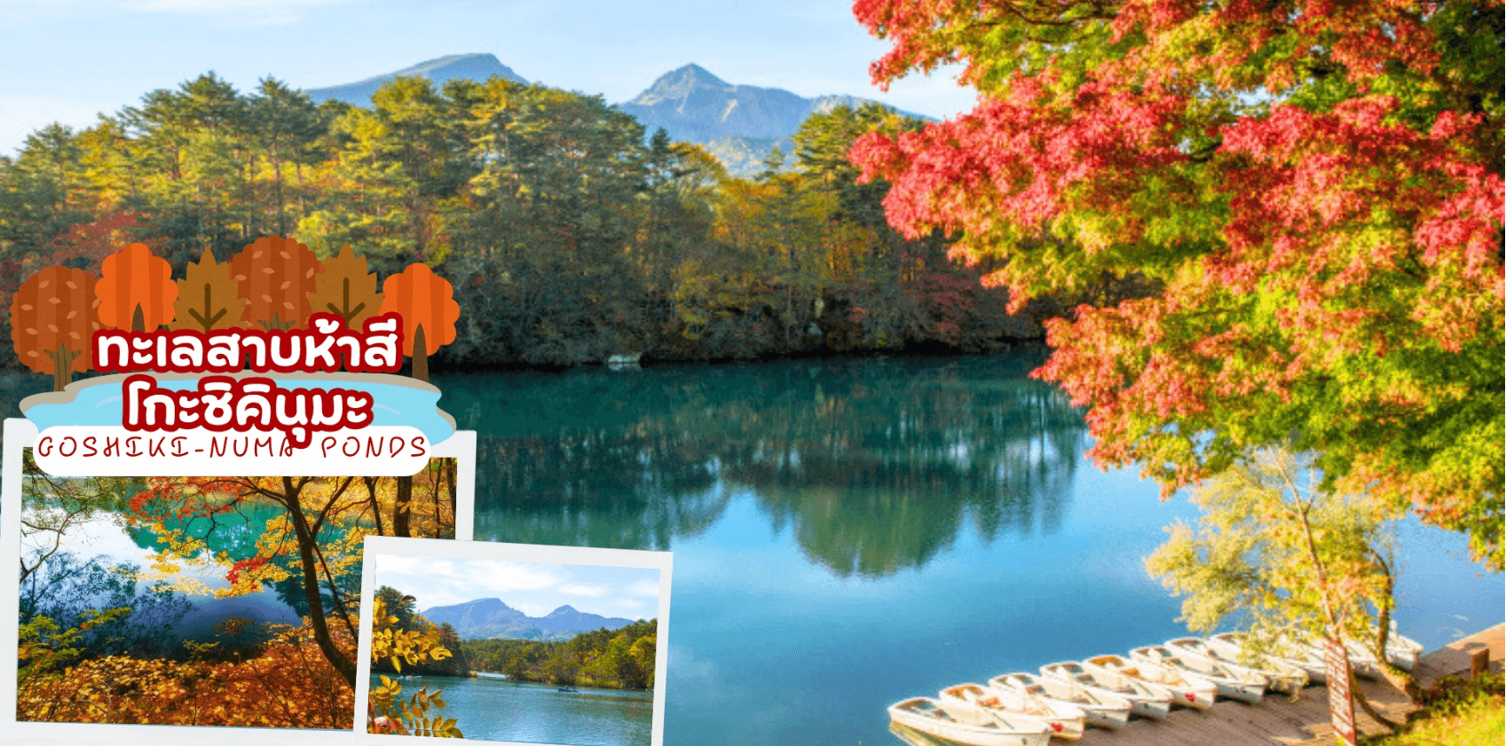 UNSEEN NIIGATA FUKUSHIMA TOKYO AUTUMN 6D 4N 5