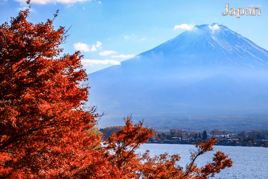 มหัศจรรย์...TOKYO อิบารากิ นิกโก้ ซากามิโกะ 5 วัน 3 คืน 5