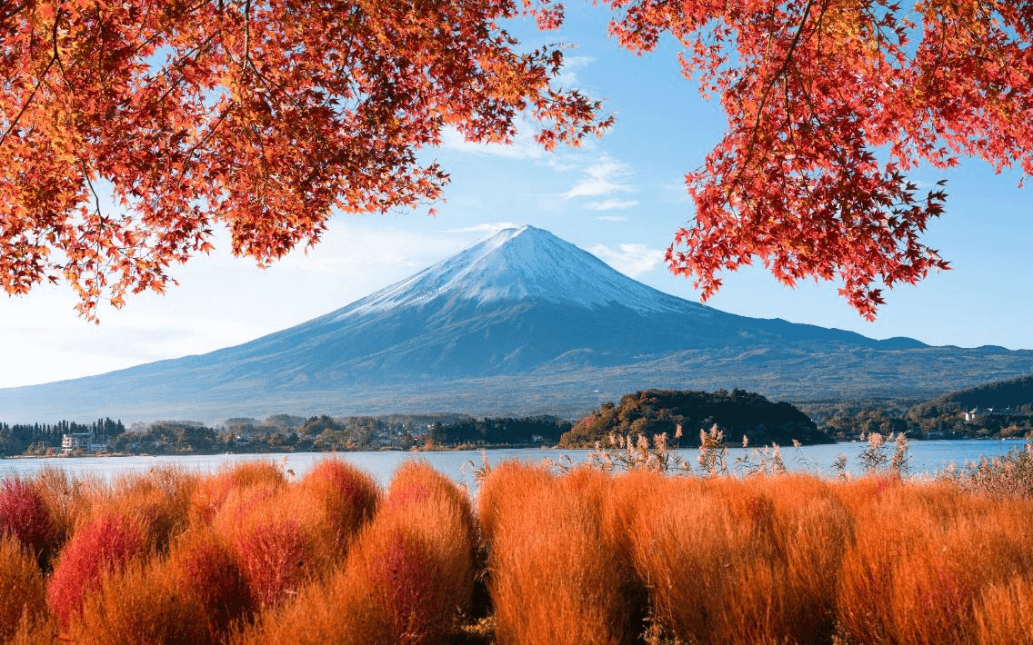 มหัศจรรย์...HAKUBA มัตสึโมโต้ คามิโคจิ ฟูจิ 6 วัน 4 คืน 5