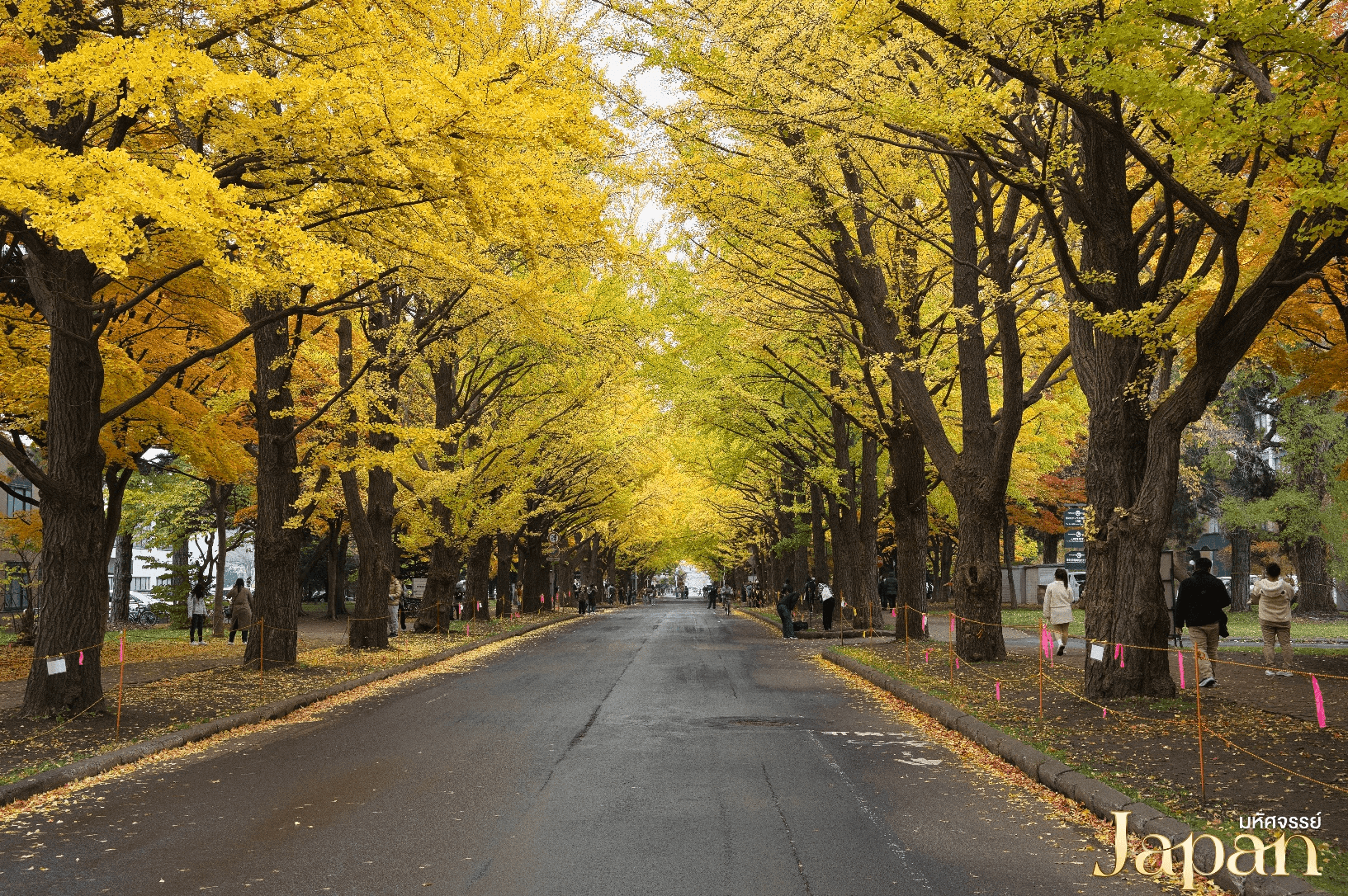 มหัศจรรย์...HOKKAIDO โอตารุ ซัปโปโร อิสระ 1 วัน 5 วัน 3 คืน 5