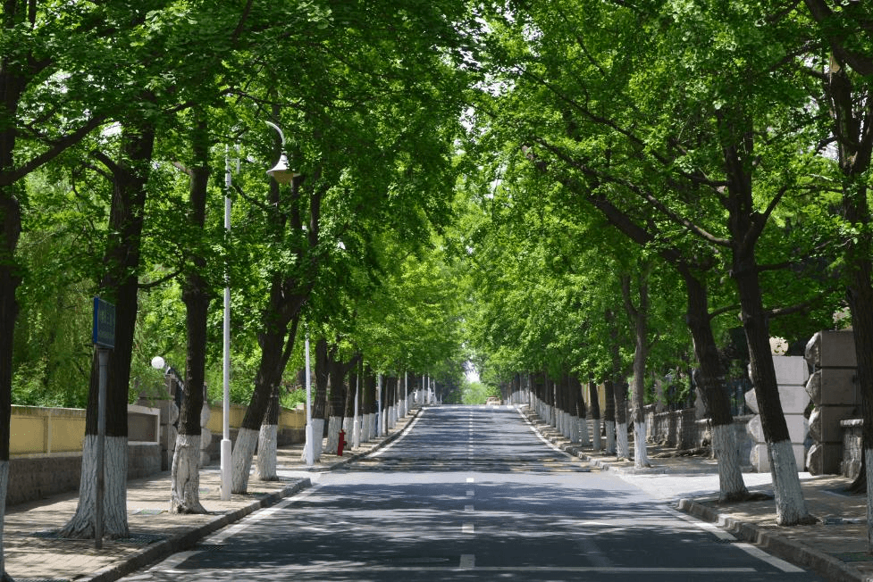 QINGDAO เมืองทะเลยุโรปแห่งแดนมังกร 6D4N 1