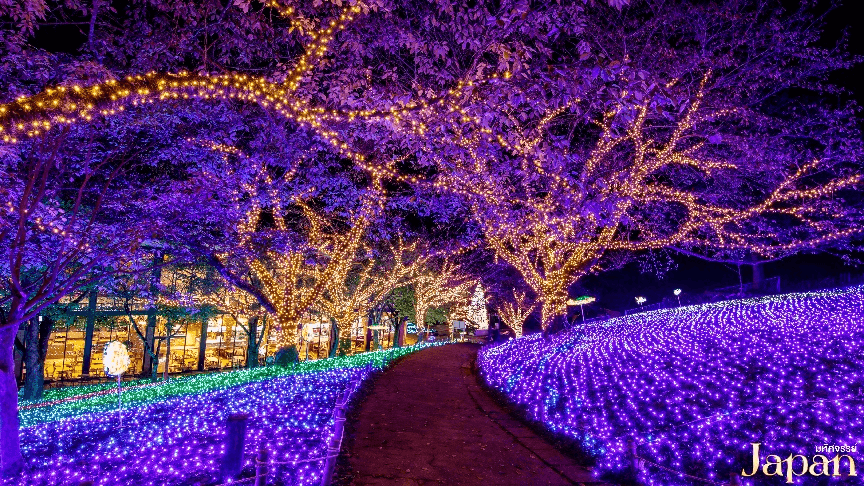 มหัศจรรย์…TOKYO FUJI FREEDAY WINTER 5 วัน 3 คืน 2