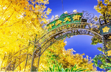 ซุปตาร์...หิมะฮาร์บินฟินฟีเว่อร์ 6 วัน 4 คืน,DEC 2026 - JAN 2027,ทัวร์ไม่ลงร้าน,(พักหมู่บ้านหิมะดั้งเดิม 1 คืน),บินตรงลงฮาร์บิน,บินเย็น กลับดึก 5