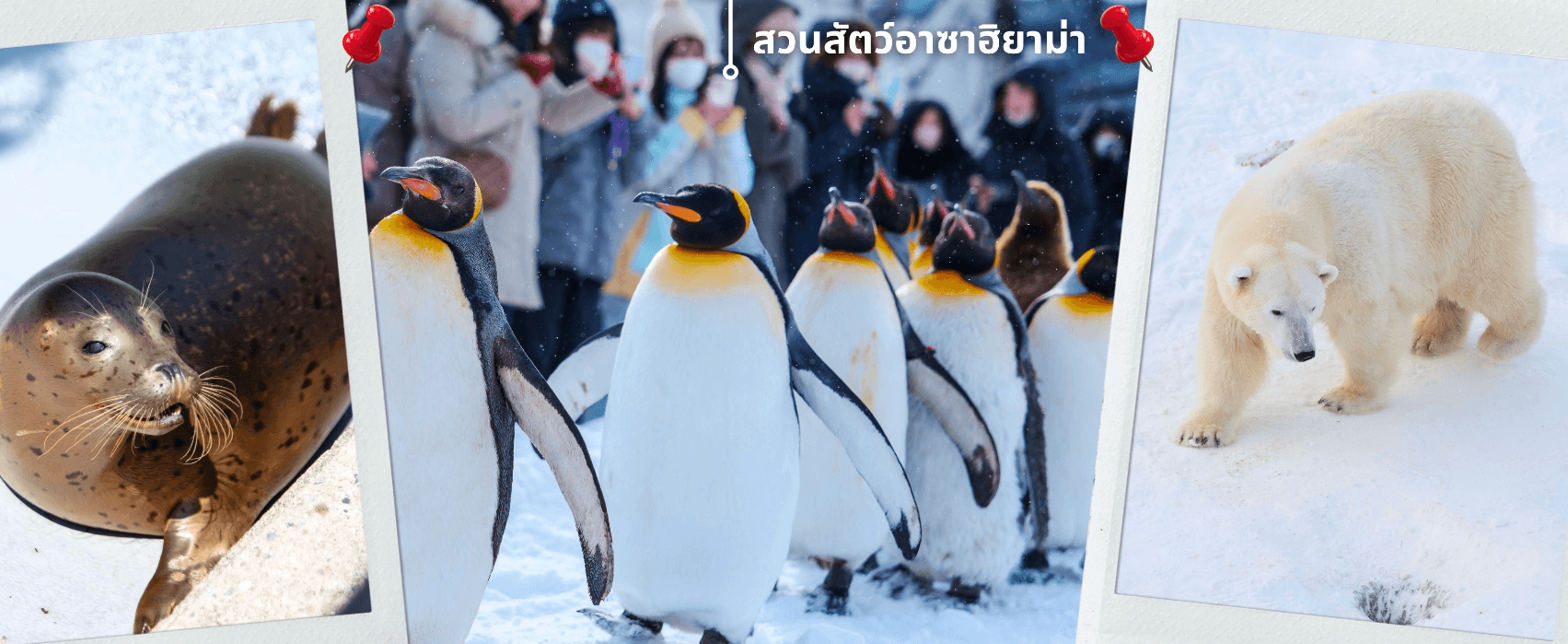 ฮอกไกโด หมู่บ้านหิมะ ตกปลาน้ำแข็ง เที่ยวเต็มไม่มีอิสระ 6วัน4คืน บิน XJ (JAN-MAR'27) 5