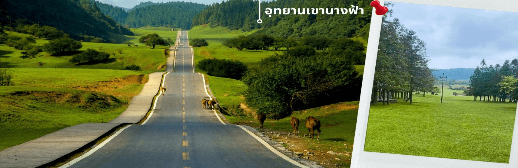 ฉงชิ่ง อู่หลง หลุมฟ้า ต้าจู๋ หยงหยาต้ง 5 วัน 4 คืน บิน HAINAN AIRLINES (HU) 2