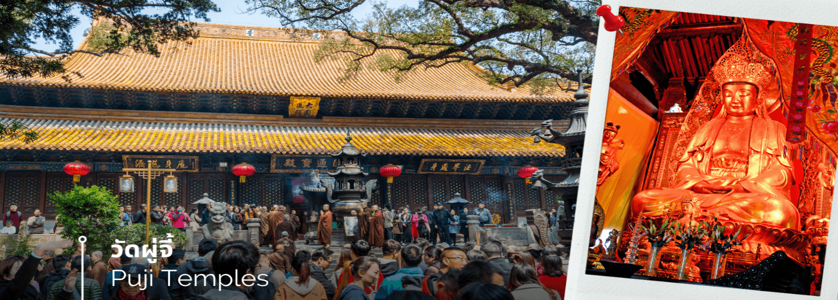 เซี่ยงไฮ้-เกาะผู่โถ่วซาน 5วัน 3คืน บิน China Eastern (MU) Sep - Dec 26 ทัวร์ลงร้าน 2