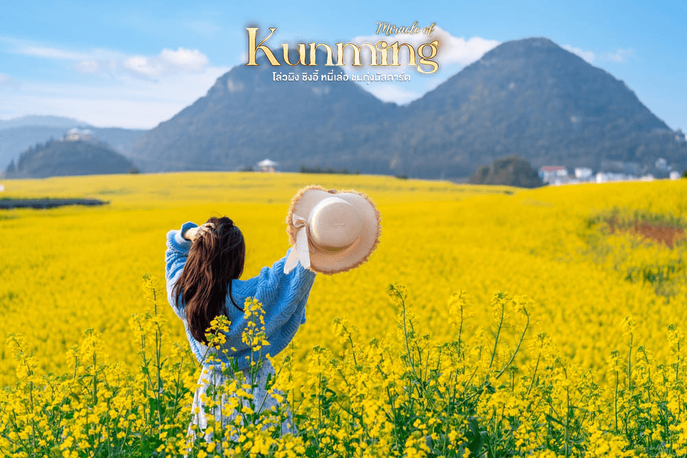 มหัศจรรย์..KUNMING เที่ยว 2 อุทยาน ชมทุ่งมัสตาร์ด 6 วัน 5 คืน 3