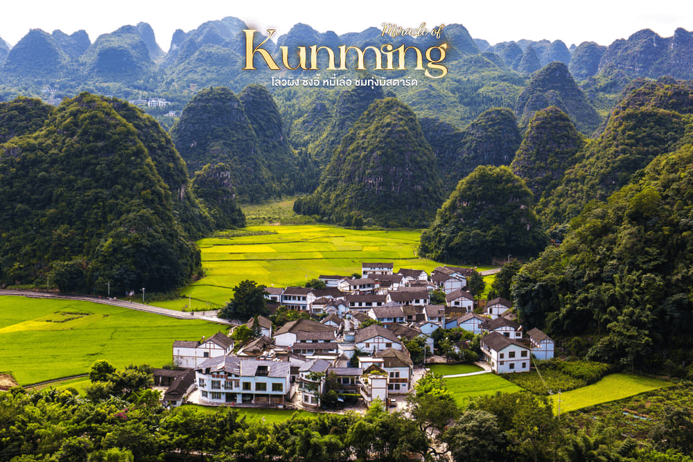 มหัศจรรย์..KUNMING เที่ยว 2 อุทยาน ชมทุ่งมัสตาร์ด 6 วัน 5 คืน 4