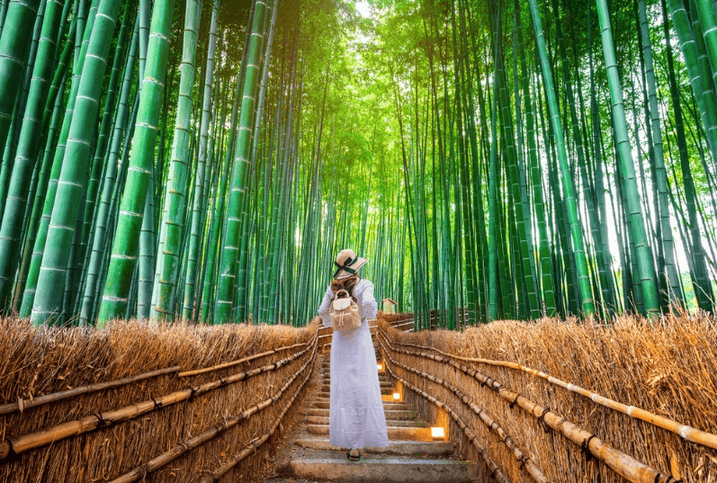 NAGOYA-OSAKA AUTUMN ที่ติดใจ (ฟรีเดย์ 2 วัน) 6วัน4คืน 1