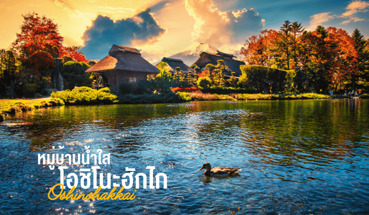 PRO TOKYO FUJI ONSEN SUPER SAVE FREE DAY 5D3N 3
