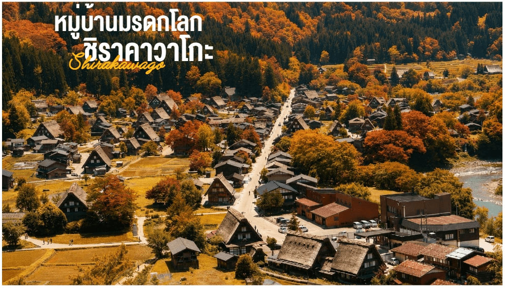 PRO OSAKA KYOTO AUTUMN TAKAYAMA SHIRAKAWAKO FUKUI FULL DAY 5D3N 2