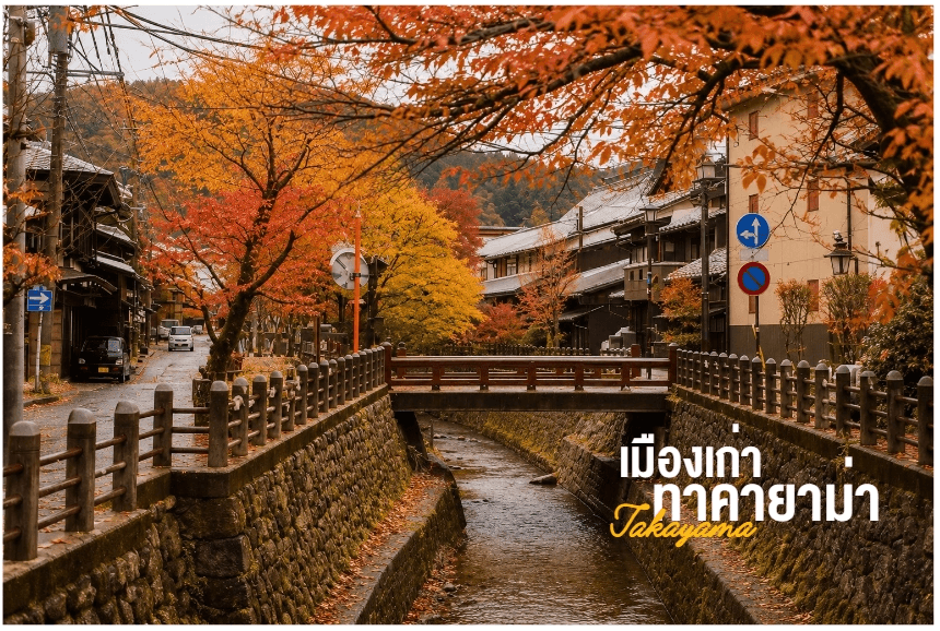 PRO OSAKA KYOTO AUTUMN TAKAYAMA SHIRAKAWAKO FUKUI FULL DAY 5D3N 3