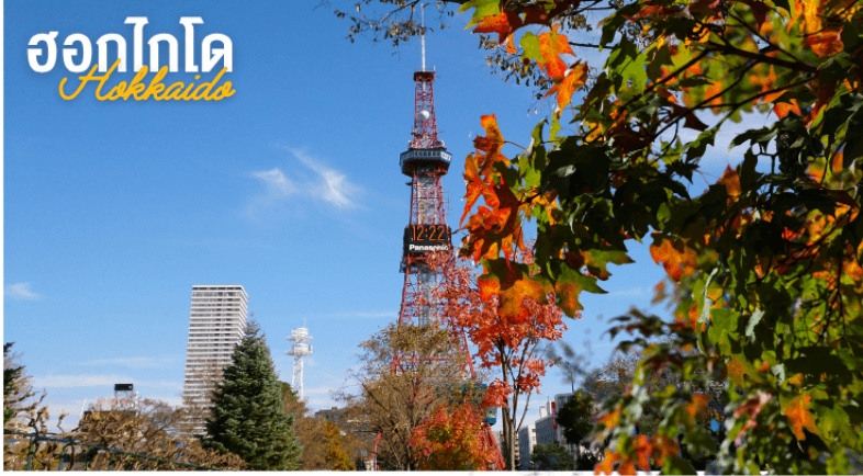 PRO HOKKAIDO SAPPORO OTARU JOZENKEI BEAUTIFUL LOVE AUTUMN 5D3N 5
