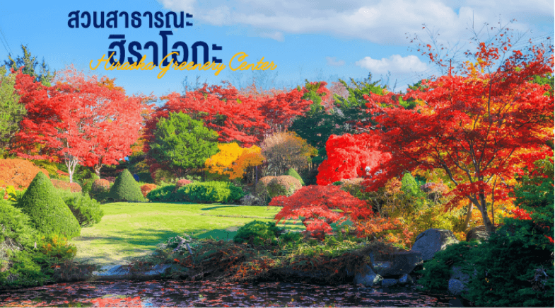 PRO HOKKAIDO SAPPORO OTARU JOZENKEI BEAUTIFUL LOVE AUTUMN 5D3N 1