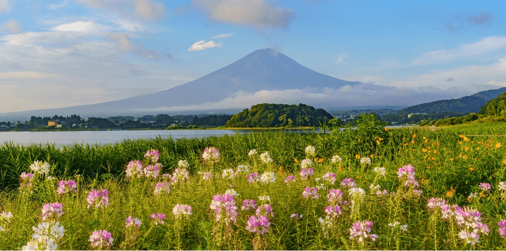 TOKYO FUJI - ITO โปรเด็ด FINAL CALL! (FREEDAY) AUG-SEP 606-607 5D3N 5