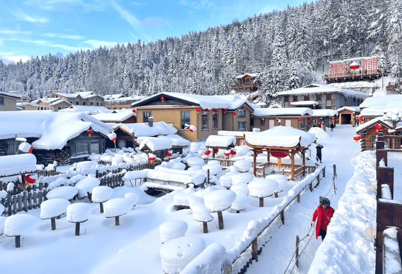 HARBIN THE COLDEST DREAM 6D4N (PN) DEC 26 - JAN 27 ไม่ลงร้าน 2