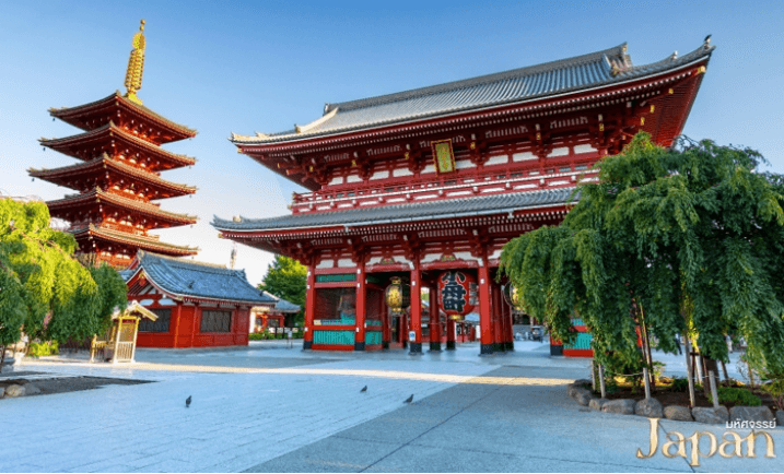 มหัศจรรย์…TOKYO FUJI SAGAMIKO ILLUMINATION WINTER 5D3N 5 วัน 3 คืน 3