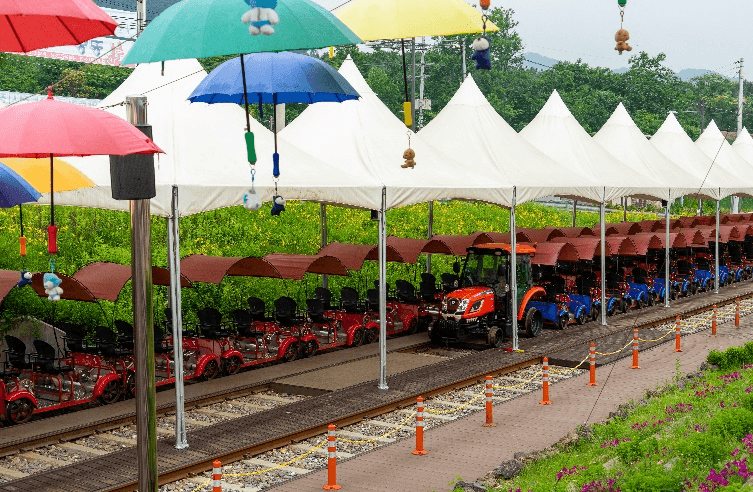 เกาหลี Colorful Flower ชมเทศกาลทิวลิปที่ Everland 5 วัน 3 คืน 2