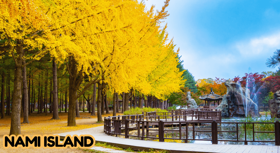 เกาหลี อุทยานซอรัคซาน เกาะนามิ ใบไม้เปลี่ยนสี 5วัน3คืน บิน TW 1
