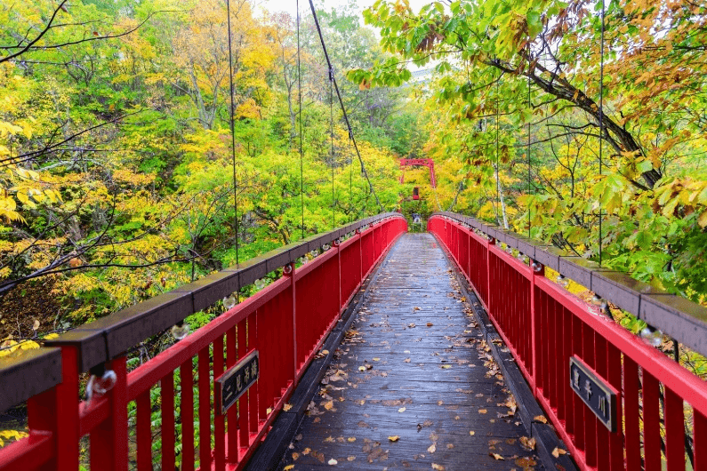 HOKKAIDO AUTUMN TOYA ใบไม้หลากสี (FREEDAY) OCT-NOV 6D4N 5
