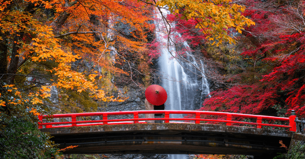 OSAKA ใบไม้แดงคาวาอี้ (FREEDAY) XJ612-613 NOV-DEC 5D3N 2