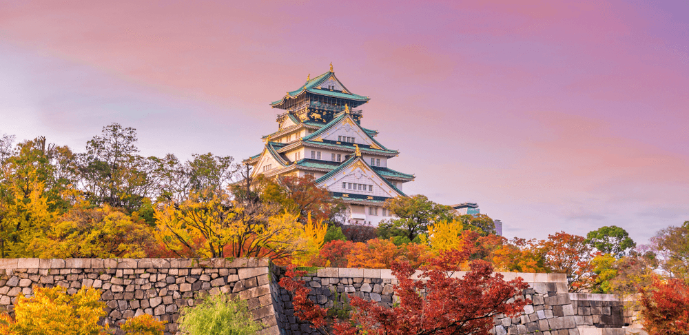 OSAKA ใบไม้แดงคาวาอี้ (FREEDAY) XJ612-613 NOV-DEC 5D3N 3