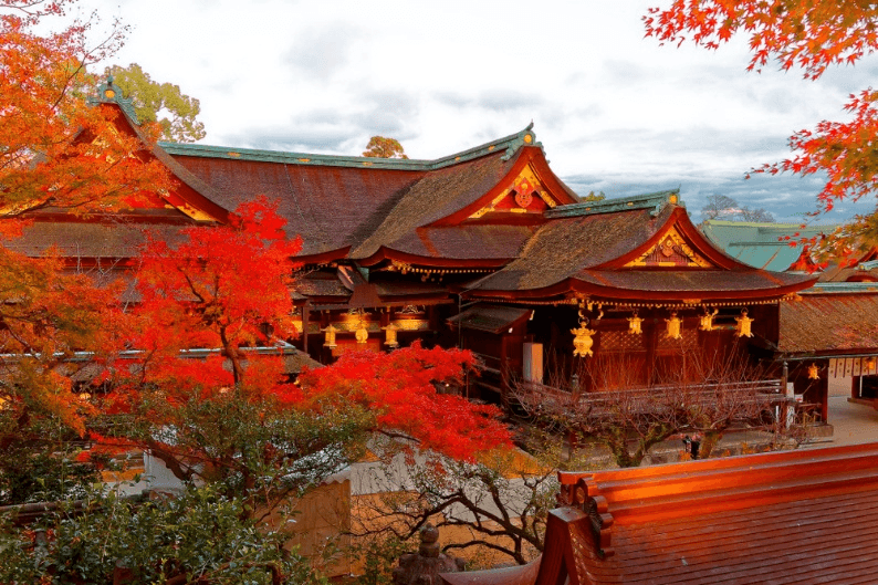 OSAKA ใบไม้แดงคาวาอี้ (FREEDAY) XJ612-613 NOV-DEC 5D3N 4