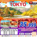 TOKYO AUTUMN KAMIKOJI (เที่ยวเต็ม) 5 วัน 3 คืน