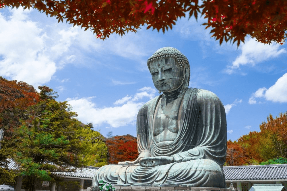 TOKYO AUTUMN โคเชียใบไม้แดง (ฟรีเดย์) 5 วัน 3 คืน 2