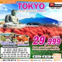 TOKYO AUTUMN โคเชียใบไม้แดง (ฟรีเดย์) 5 วัน 3 คืน
