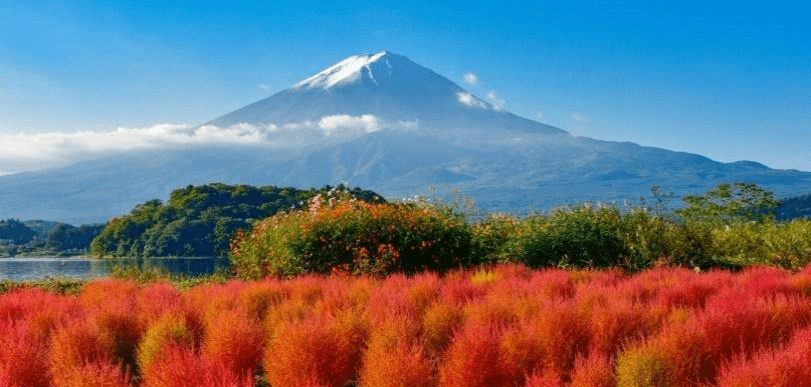 TOKYO AUTUMN โคเชีย แดงฉ่ำ (FREEDAY) 5 วัน 3 คืน 1