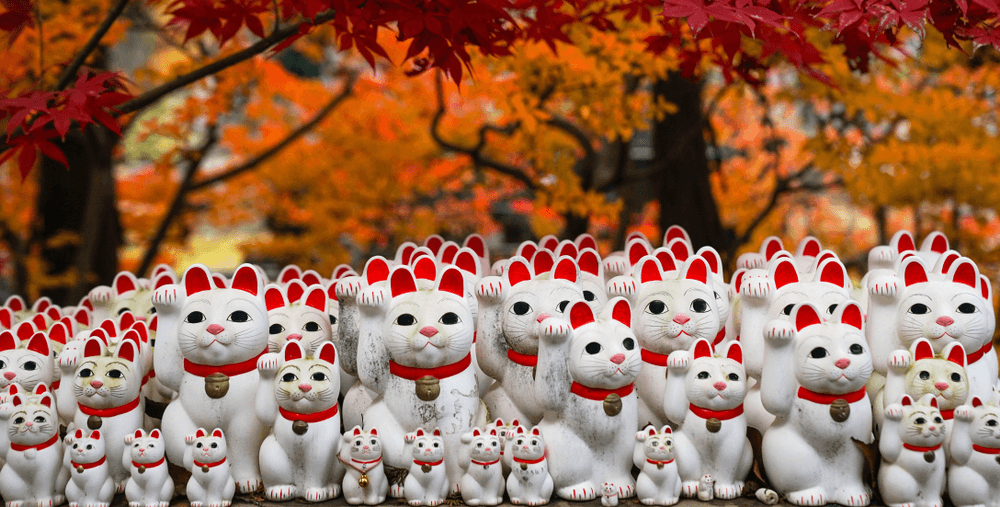 TOKYO AUTUMN โคเชีย แดงฉ่ำ (FREEDAY) 5 วัน 3 คืน 4