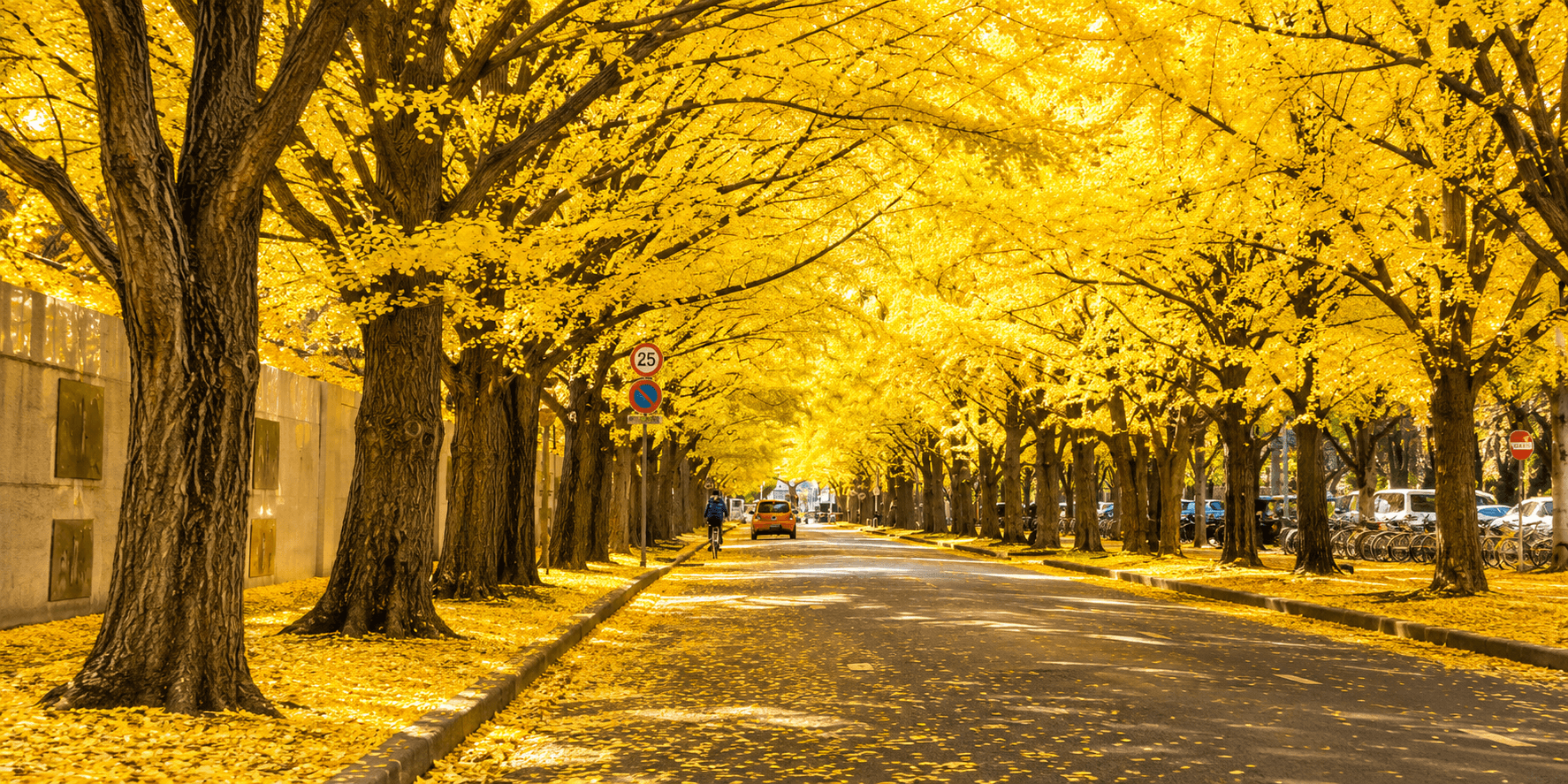 ฮอกไกโด ซัปโปโร โอตารุ ฟูราโน่ บิเอะ บ่อน้ำสีฟ้า นิงเกิ้ลเทอเรส GINKGO AVENUE 5วัน 3คืน 4