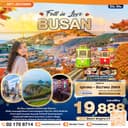 Fall in Love BUSAN 5 วัน 3 คืน