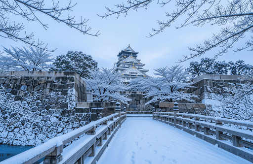 Osaka ความทรงจำในฤดูหนาว 5 วัน 3 คืน 3