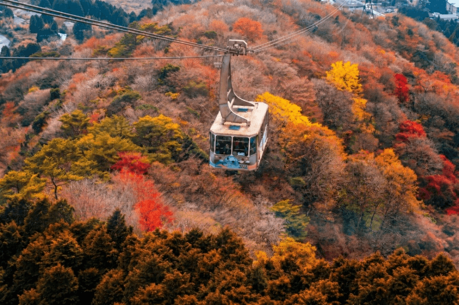 Classic TOKYO FUJI HAKONE 5 วัน 3 คืน 1