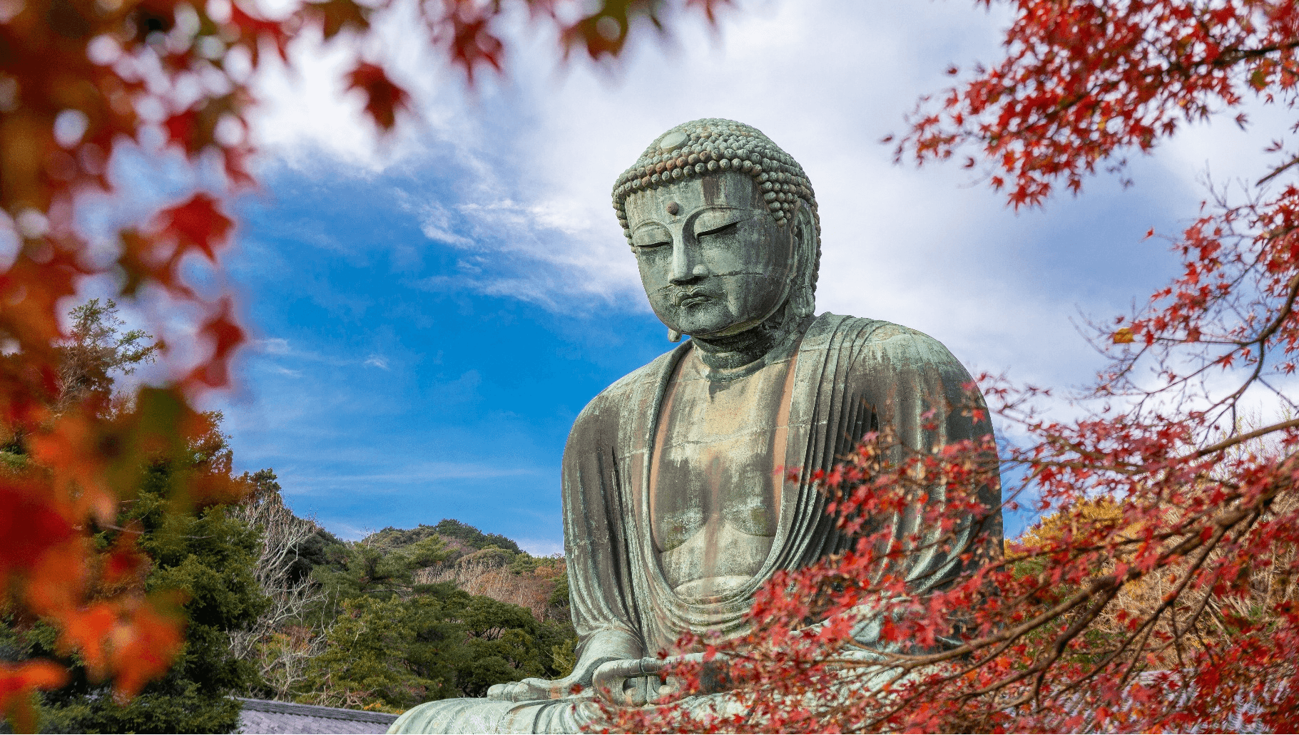 Absolutely amazing TOKYO FUJI KAMAKURA ENOSHIMA 5 วัน 3 คืน 3