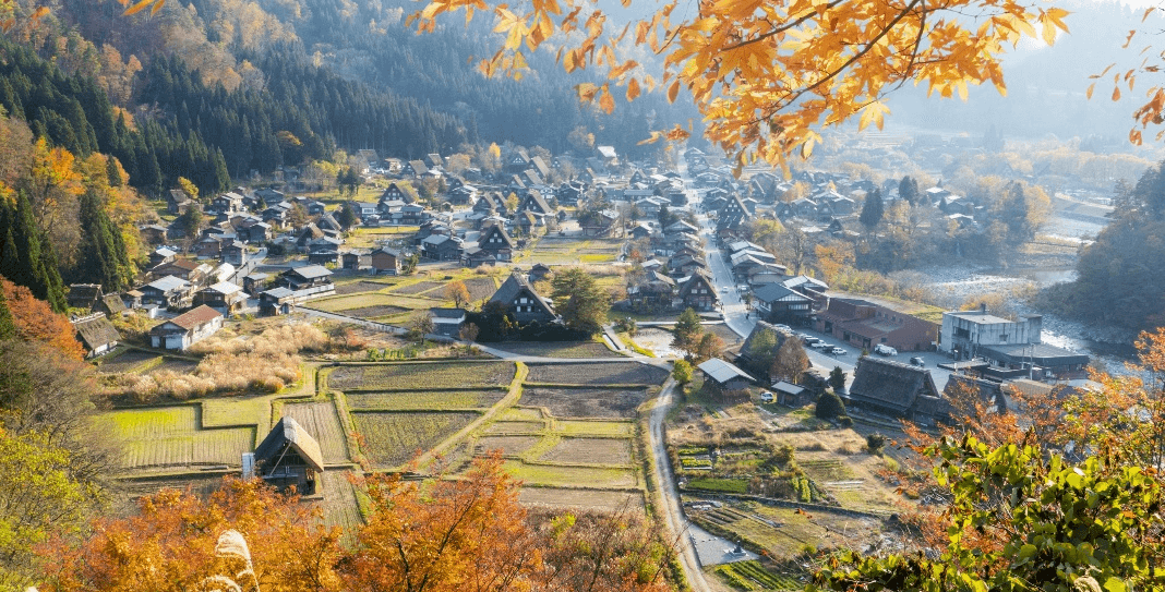 A season in gold NAGOYA SHIRAKAWAGO TOYAMA KORANKEI 5 วัน 3 คืน 1