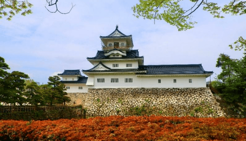 A season in gold NAGOYA SHIRAKAWAGO TOYAMA KORANKEI 5 วัน 3 คืน 3