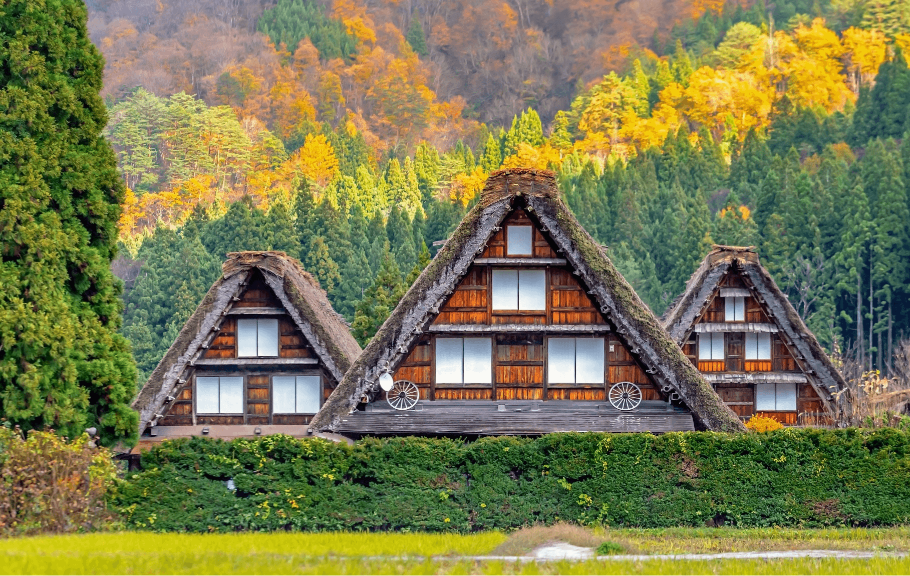 Golden Route Special Autumn OSAKA TOKYO KYOTO SHIRAKAWAGO TOYAMA HAKUBA FUJI 6 วัน 4 คืน 2