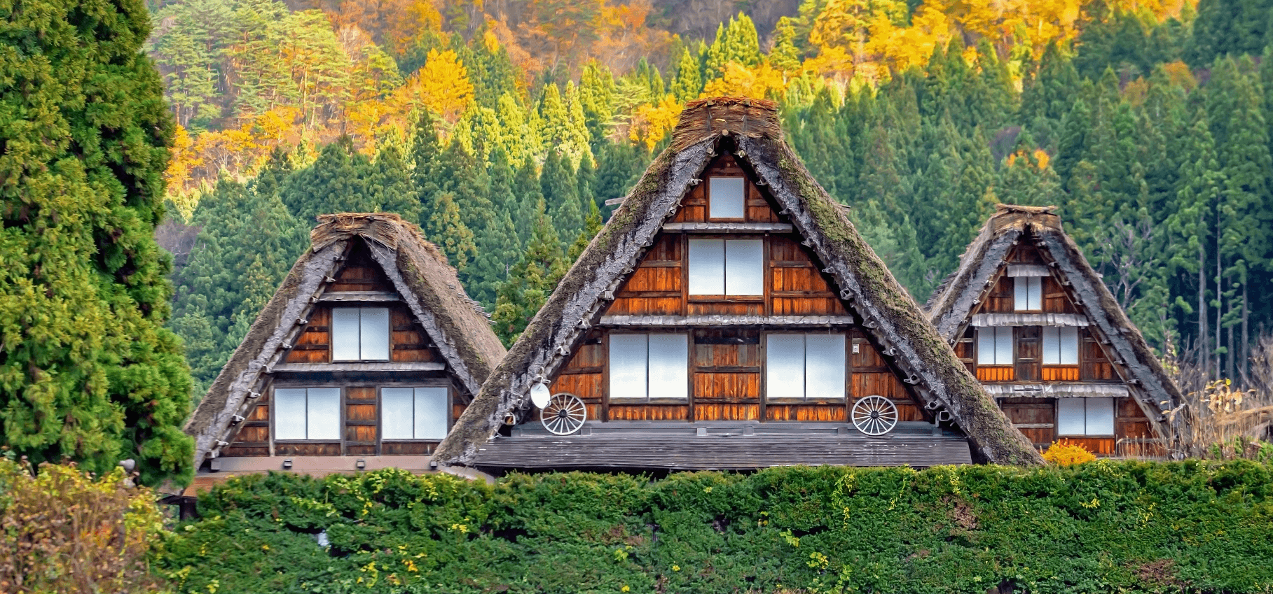 Autumn Symphony TOYAMA HAKUBA SHIRAKAWAGO FUJI OSAKA TOKYO 6 วัน 4 คืน 3