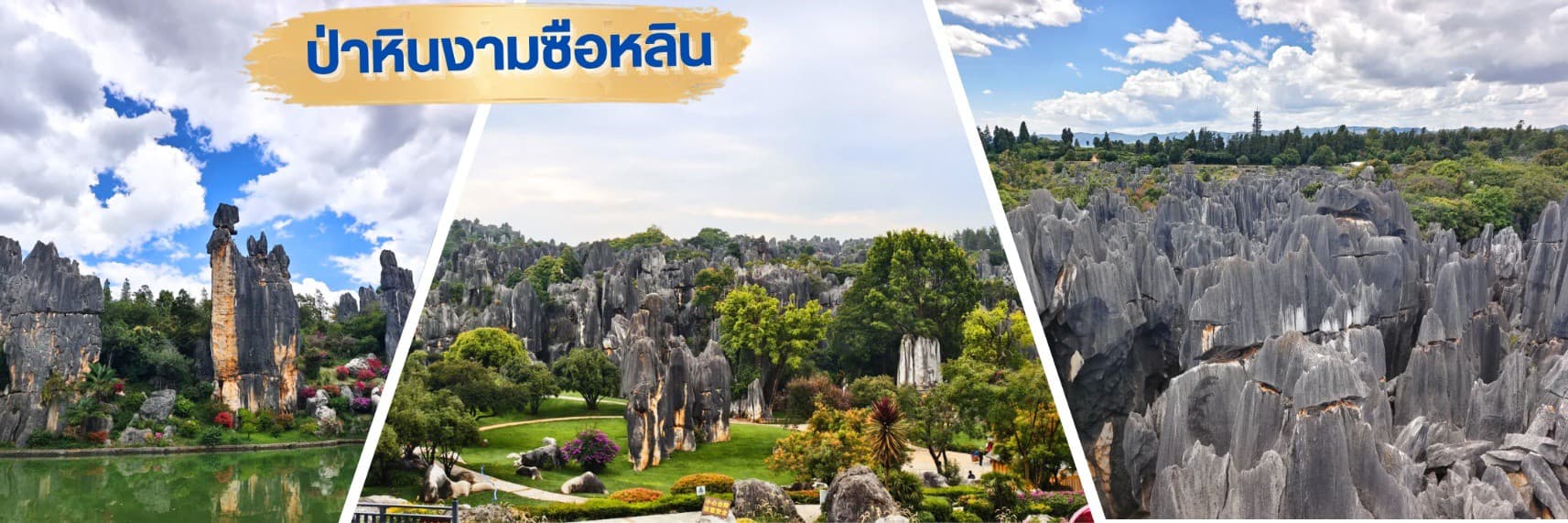 TF-KMGKY10 คุนหมิง โหลวผิง ชมซากุระอี้เหลียง ทะเลสาบว่านเฟิงหลิน 6วัน 5คืน บิน KUNMING AIRLINE (KY) #ทัวร์ไม่ลงร้าน. 1