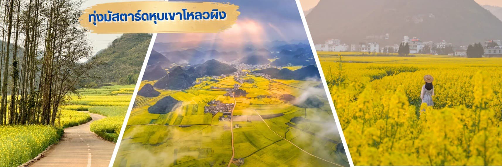 TF-KMGKY10 คุนหมิง โหลวผิง ชมซากุระอี้เหลียง ทะเลสาบว่านเฟิงหลิน 6วัน 5คืน บิน KUNMING AIRLINE (KY) #ทัวร์ไม่ลงร้าน. 2