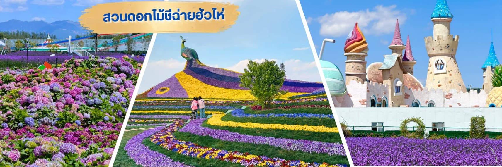 TF-KMGKY10 คุนหมิง โหลวผิง ชมซากุระอี้เหลียง ทะเลสาบว่านเฟิงหลิน 6วัน 5คืน บิน KUNMING AIRLINE (KY) #ทัวร์ไม่ลงร้าน. 7