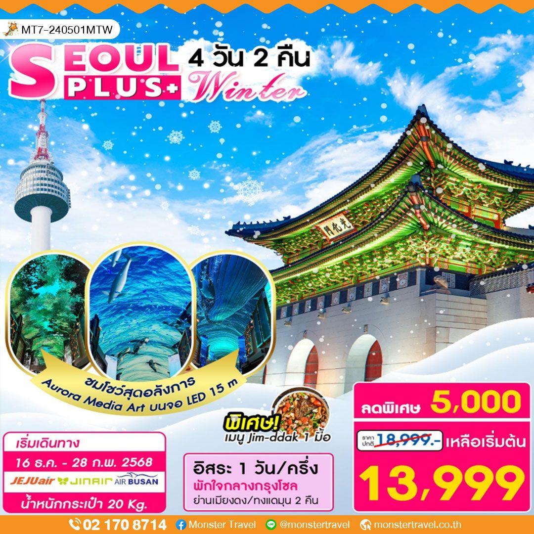 SEOUL PLUS+ Winter 4 วัน 2 คืน