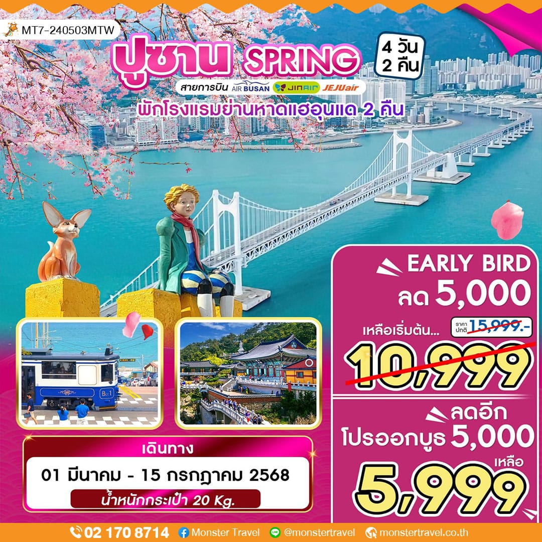 monster travel ปูซาน SPRING 4 วัน 2 คืน